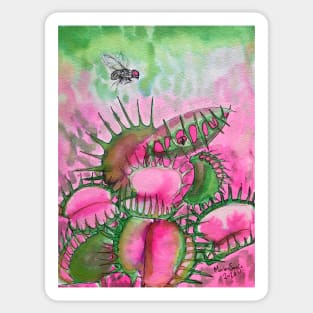 Venus Fly Trap Sticker